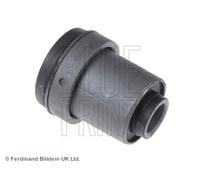 Supporto, Braccio oscillante Assale anteriore superiore per FORD MAZDA BT-50 RAN