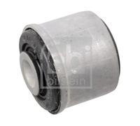 Supporto, Braccio oscillante Assale anteriore Sx per RENAULT KANGOO SCÉNIC