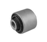Supporto, Braccio oscillante Assale posteriore per CHEVROLET DAEWOO EPICA EVANDA