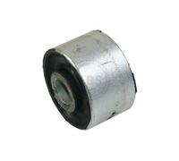 Supporto, Braccio oscillante Assale posteriore Sx per ALFA ROMEO 147 156 GT