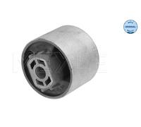 Supporto, Braccio oscillante Assale posteriore Sx per AUDI CUPRA SEAT SKODA VW A