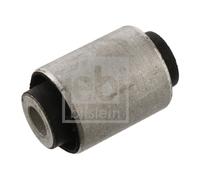 Supporto, Braccio oscillante Assale posteriore Sx per BMW 3 X3 Z1 Z4
