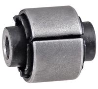 Supporto, Braccio oscillante Assale posteriore Sx per HYUNDAI KIA CRETA ix35 SPO