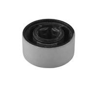 Supporto, Braccio oscillante bilaterale per ROVER 75