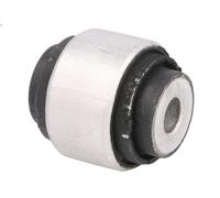 Supporto, Braccio oscillante DELPHI TD1616W per BMW 1 (E87) 2 2004-2007