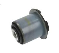 Supporto, Braccio oscillante DELPHI TD333W per ASTRA G Coupé (T98) 2 2000-2001