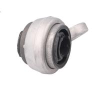 Supporto, Braccio oscillante DELPHI TD407W per BMW 3 (E46) 2 1998-2