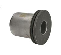 Supporto, Braccio oscillante DELPHI TD697W per MASTER II Furgone (FD) 3 2003-