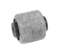 Supporto, Braccio oscillante dietro l'assale per BMW 3 5 6 7 X3 X5