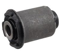 Supporto, Braccio oscillante dietro l'assale per HYUNDAI KIA ix55 SANTA FÉ SOREN