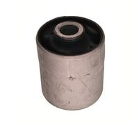 Supporto, Braccio oscillante Esterno per HYUNDAI MITSUBISHI DELICA / SPACE GEAR
