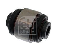 Supporto Braccio Oscillante Febi Bilstein 43749 per Bmw