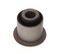 Supporto, Braccio oscillante inferiore per DACIA NISSAN RENAULT DUSTER TERRANO