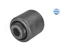 Supporto, Braccio oscillante interno per BMW X5 X6
