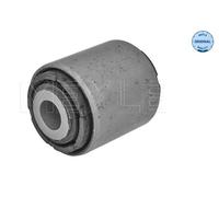 Supporto, Braccio oscillante posteriore per BMW X5 X6