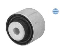 Supporto, Braccio oscillante posteriore per DAIMLER JAGUAR S-TYPE SUPER EIGHT XF