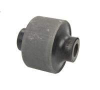 Supporto, Braccio oscillante REINHOCH RH14-2030 per NV400 Autobus 2.3 2011-