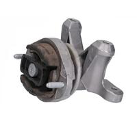 ORIGINAL IMPERIUM Supporto, Cambio automatico