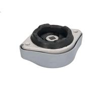 Supporto, Cambio automatico REINHOCH RH12-0009 per A6 C5 (4B2, 4B4) 2 2001-2005