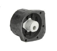 Supporto, Cambio automatico REINHOCH RH12-3001 per BMW 3 (E46) 3 2000-2005