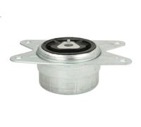 Supporto, Cambio REINHOCH RH11-5018 per OPEL ASTRA G Coupé (T98) 1.8 2000-2