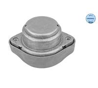 MEYLE Supporto, Cambio automatico compatibile con AUDI SKODA VW 100 130 0011