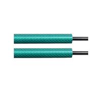 supporto cofano anteriore Ammortizzatore Portellone Posteriore 2 Pezzi Per Serie 3 Per E92 2005-2011 Coupé A Porte CON MOLLA Per Bagagliaio Con Molla Sollevamento A Gas