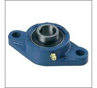 SUPPORTO CON CUSCINETTO SERIE UCFL206