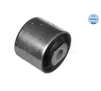 Supporto, Corpo assiale Assale posteriore Sx per AUDI 100 A6