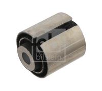 Supporto, Corpo assiale Assale posteriore Sx per BMW 1 3 4 X1