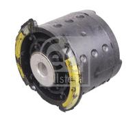 Supporto, Corpo assiale Assale posteriore Sx per BMW Z4