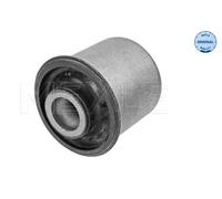 Supporto, Corpo assiale Assale posteriore Sx per CHEVROLET DAEWOO AVEO / KALOS K