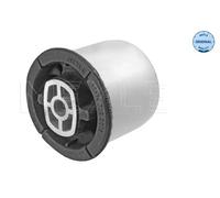 Supporto, Corpo assiale Assale posteriore Sx per CITROËN DS OPEL PEUGEOT VAUXHAL