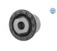 Supporto, Corpo assiale Assale posteriore Sx per FORD MONDEO