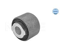 Supporto, Corpo assiale Assale posteriore Sx per LAND ROVER FREELANDER 2