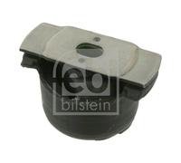 Supporto, Corpo assiale Assale posteriore Sx per RENAULT LAGUNA