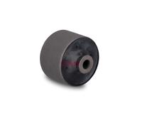 Supporto, Corpo assiale FAG 829 0601 10 per VIVARO A Autobus (X83) 2 2001-2006