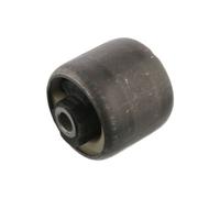 Supporto, Corpo assiale FEBI 19829 per FORD KA (RB_) 1.3 1998-2008