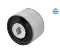Supporto, Corpo assiale posteriore per VOLVO S60 S90 V60 V90 XC60 XC90