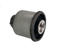 Supporto, Corpo assiale REINHOCH RH20-0006 per AUDI TT (8N3) 1.8 1998-2006