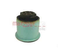 Supporto Corpo Dell'Asse Posteriore METZGER per Citroën C4 I