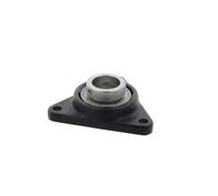 Supporto + cuscinetto flangiato PCFTR17 17x0x0