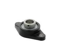 Supporto + cuscinetto flangiato PCJT25 -TV-FA125.5 25x0x0