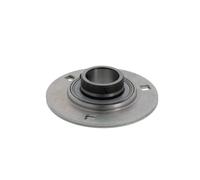 Supporto + cuscinetto flangiato RAY35 35x0x0
