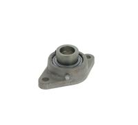 Supporto + cuscinetto flangiato RCJT40 -XL-N-FA125 4
