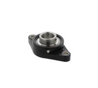 Supporto + cuscinetto flangiato RCJTY20 -TV-VA-HLA