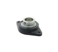 Supporto + cuscinetto flangiato RCJTZ45 45x0x0