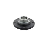 Supporto + cuscinetto flangiato RFE30 3