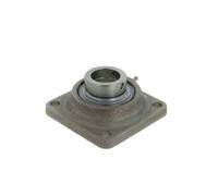 Supporto + cuscinetto flangiato (unita') RCJ40 -XL-N-FA125