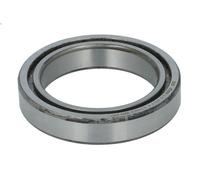INA SL182912 Cuscinetto cilindrico a rullo, diametro interno 60 mm, diametro esterno 85 mm, larghezza 16 mm, velocità massima di rotazione 4500 rpm